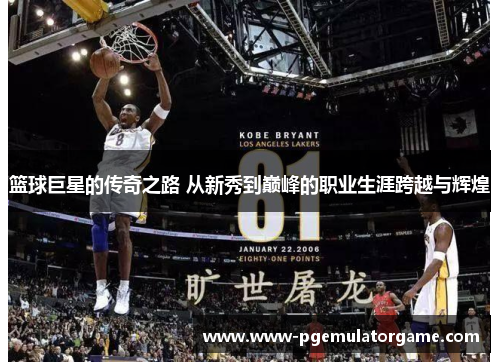 篮球巨星的传奇之路 从新秀到巅峰的职业生涯跨越与辉煌