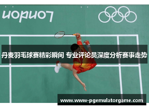 丹麦羽毛球赛精彩瞬间 专业评论员深度分析赛事走势