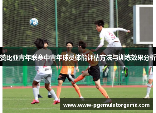 赞比亚青年联赛中青年球员体能评估方法与训练效果分析