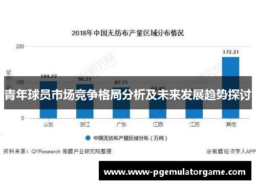 青年球员市场竞争格局分析及未来发展趋势探讨