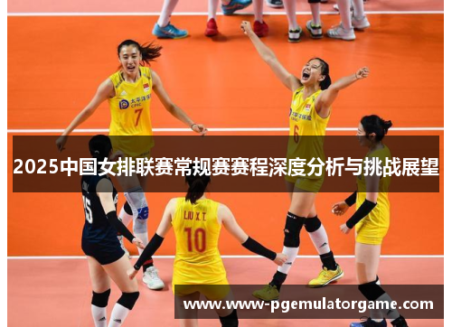 2025中国女排联赛常规赛赛程深度分析与挑战展望