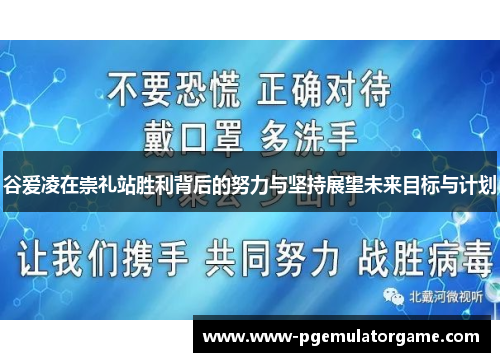 谷爱凌在崇礼站胜利背后的努力与坚持展望未来目标与计划