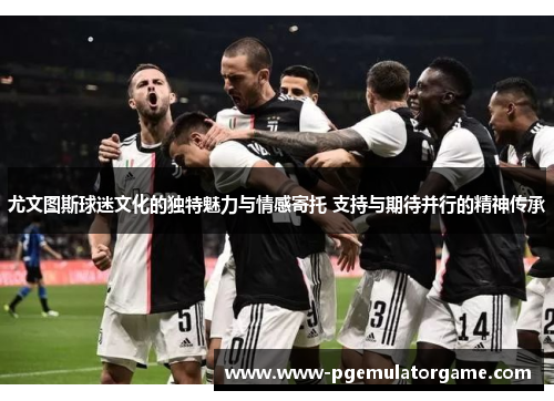 尤文图斯球迷文化的独特魅力与情感寄托 支持与期待并行的精神传承