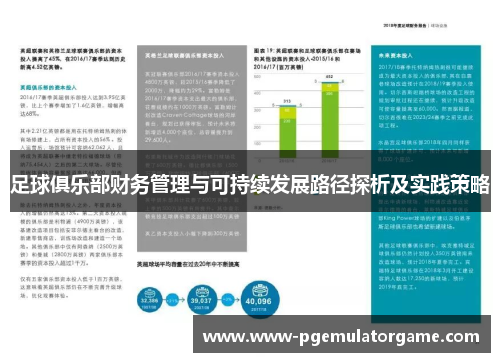 足球俱乐部财务管理与可持续发展路径探析及实践策略
