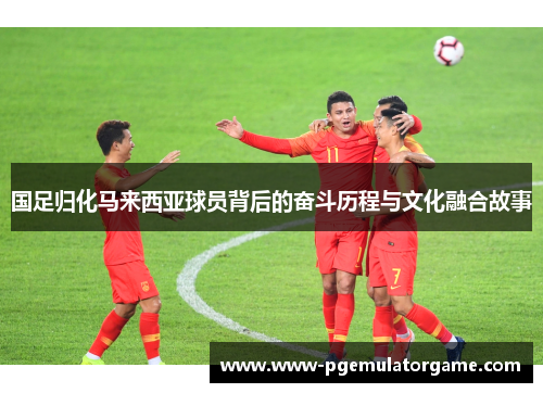 国足归化马来西亚球员背后的奋斗历程与文化融合故事