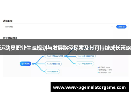 运动员职业生涯规划与发展路径探索及其可持续成长策略