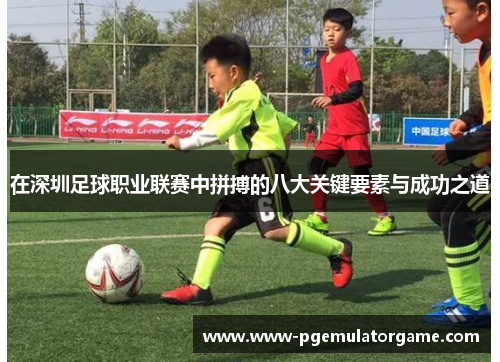 在深圳足球职业联赛中拼搏的八大关键要素与成功之道