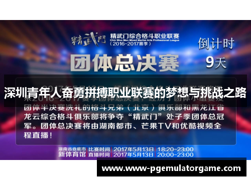 深圳青年人奋勇拼搏职业联赛的梦想与挑战之路