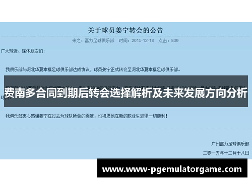 费南多合同到期后转会选择解析及未来发展方向分析