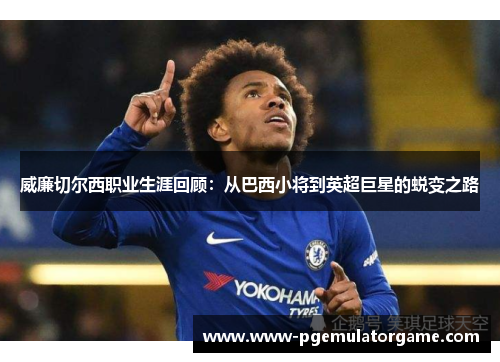 威廉切尔西职业生涯回顾：从巴西小将到英超巨星的蜕变之路