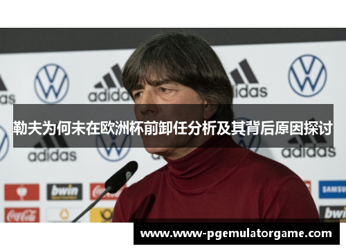 勒夫为何未在欧洲杯前卸任分析及其背后原因探讨