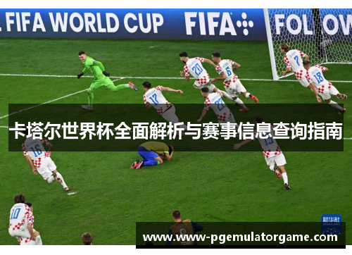 卡塔尔世界杯全面解析与赛事信息查询指南
