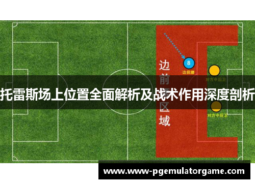 托雷斯场上位置全面解析及战术作用深度剖析