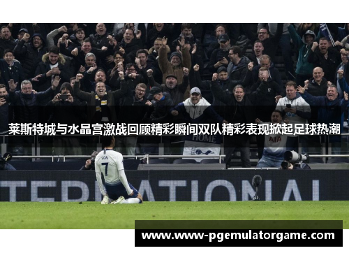 莱斯特城与水晶宫激战回顾精彩瞬间双队精彩表现掀起足球热潮 莱斯特城与水晶宫激战回顾精彩瞬间双队精彩表现掀起足球热潮