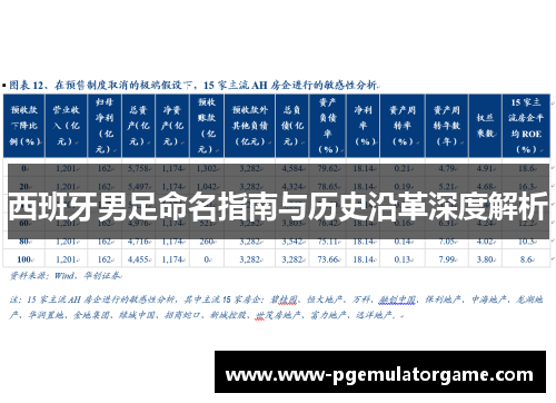 西班牙男足命名指南与历史沿革深度解析