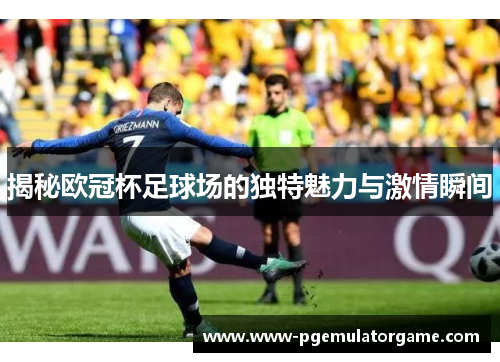 揭秘欧冠杯足球场的独特魅力与激情瞬间