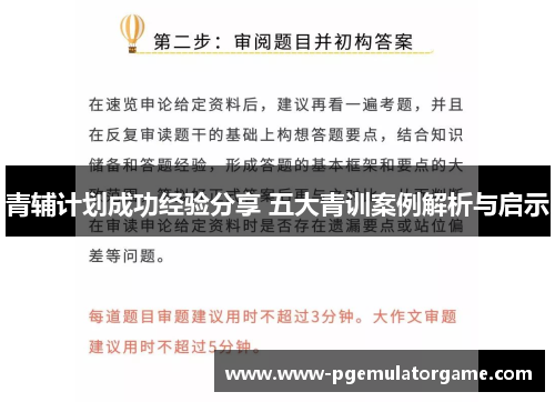 青辅计划成功经验分享 五大青训案例解析与启示