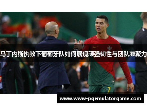 马丁内斯执教下葡萄牙队如何展现顽强韧性与团队凝聚力