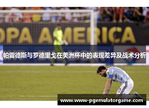 帕雷德斯与罗德里戈在美洲杯中的表现差异及战术分析