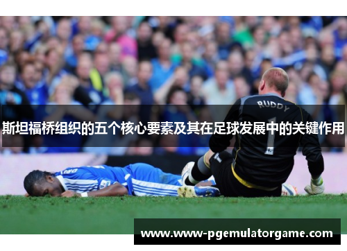 斯坦福桥组织的五个核心要素及其在足球发展中的关键作用