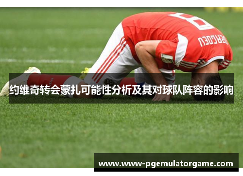 约维奇转会蒙扎可能性分析及其对球队阵容的影响