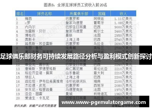 足球俱乐部财务可持续发展路径分析与盈利模式创新探讨