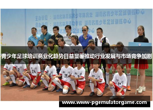 青少年足球培训商业化趋势日益显著推动行业发展与市场竞争加剧