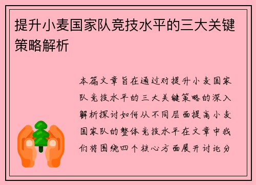 提升小麦国家队竞技水平的三大关键策略解析